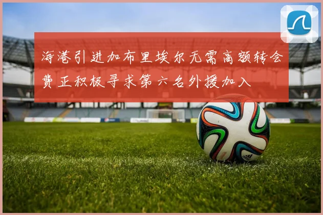 海港引进加布里埃尔无需高额转会费正积极寻求第六名外援加入