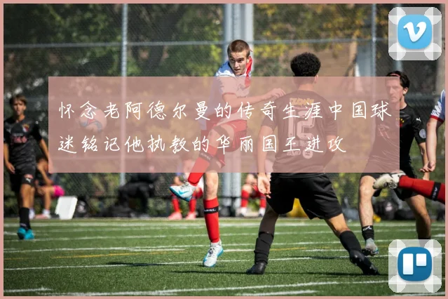 怀念老阿德尔曼的传奇生涯中国球迷铭记他执教的华丽国王进攻