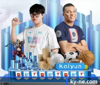 KY体育 APP